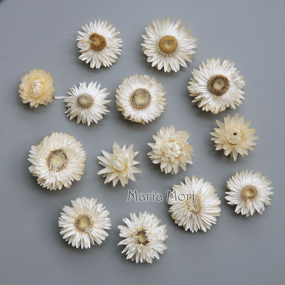 Candle Making Activity - Natural Dried Colorful Chrysanthemum Wreath Handmade