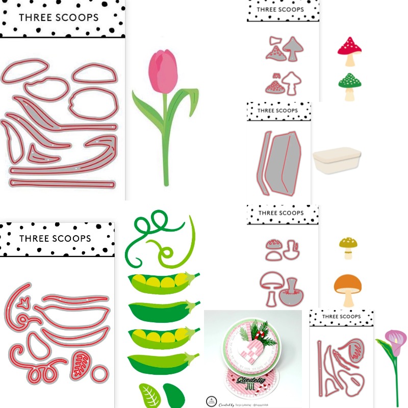 Curvature of the Leaves in the - Candle Making Books ulasan dan harga